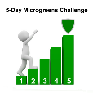 5-Day Microgreens Challenge